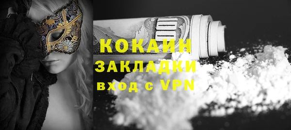 гашиш Богданович