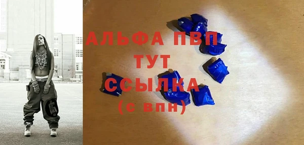 гашиш Богданович