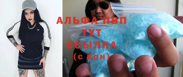 гашиш Богданович