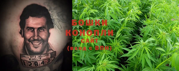 гашиш Богданович