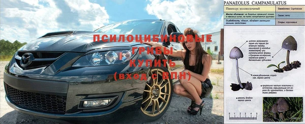 не бодяженный Богородицк