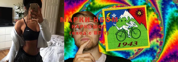 гашиш Богданович