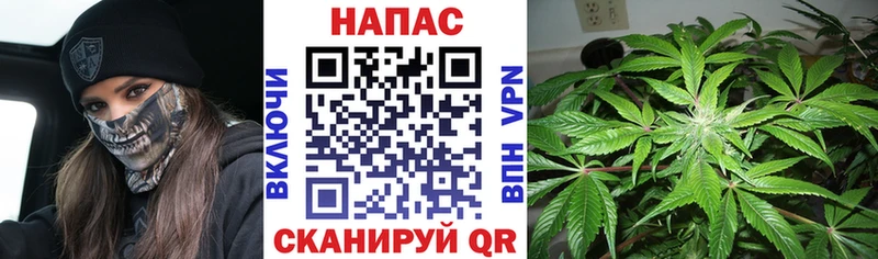 Каннабис SATIVA & INDICA  Купить где  Новозыбков 